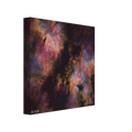 09969728-b64a-4d11-879f-3666fb5ddb7b